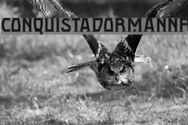 ConquistadormanNF Font examples