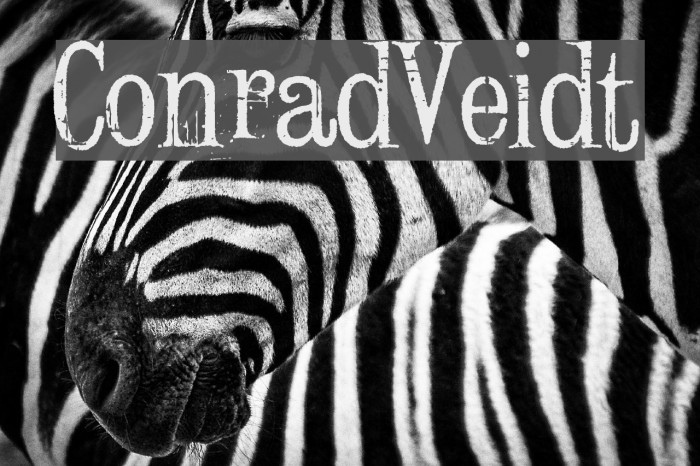ConradVeidt Font examples