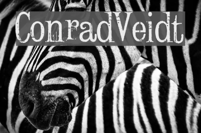 ConradVeidt Example 2