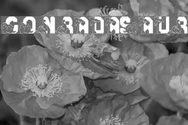 Conradasaur Font examples