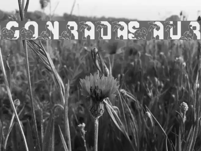 Conradasaur Font examples