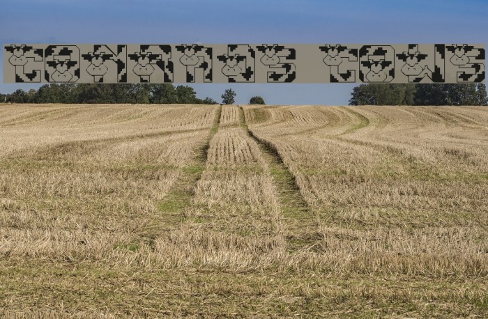 Conrads Cows Font examples
