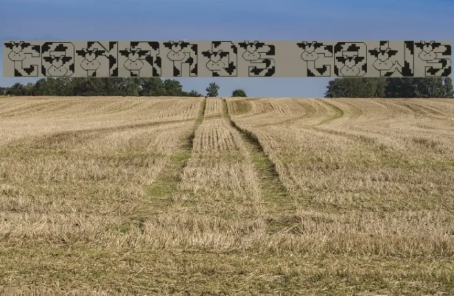 Conrads Cows Example 1
