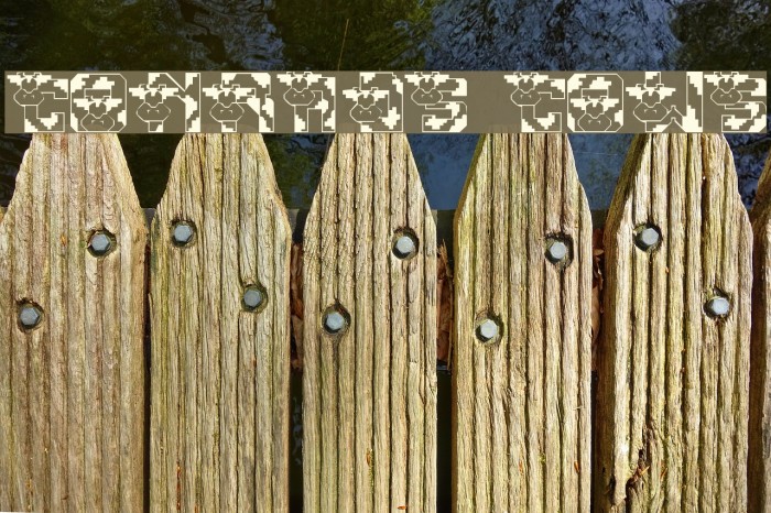 Conrads Cows Font examples