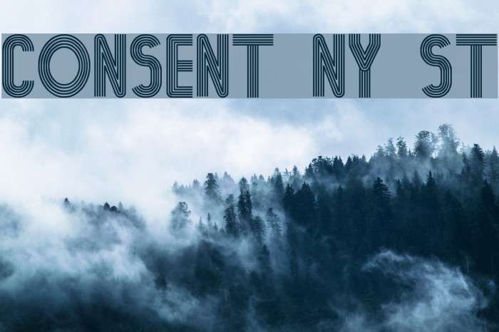 Consent Ny St Example 1