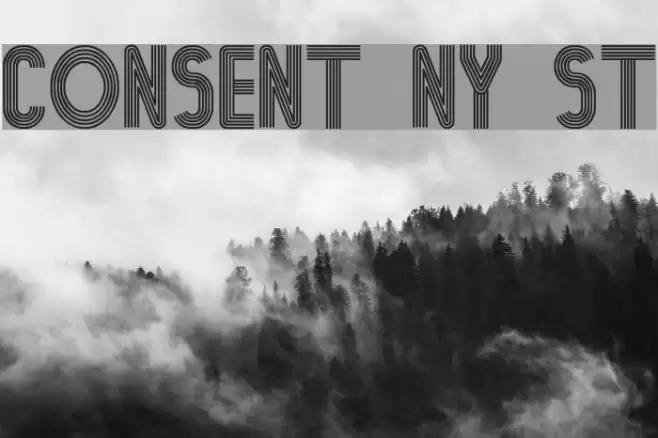 Consent Ny St Font examples