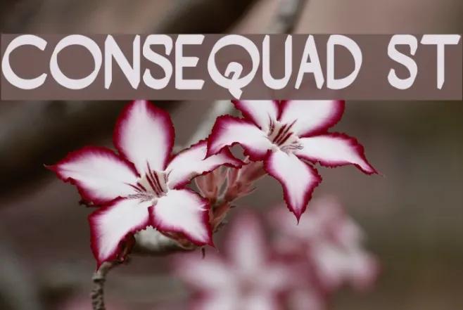 Consequad St Example 2