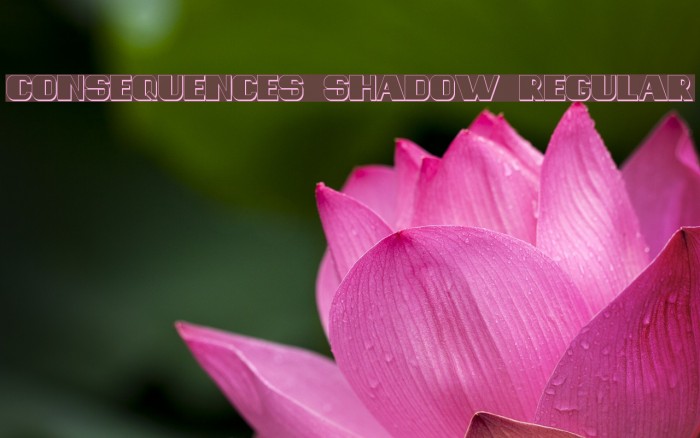 Consequences Shadow Regular Font examples