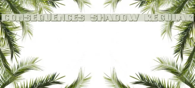 Consequences Shadow Regular Example 3