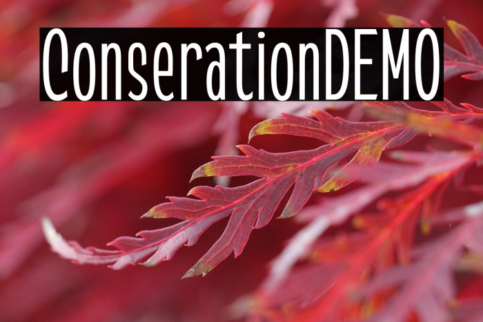 ConserationDEMO Example 3