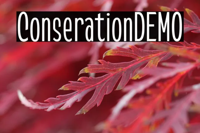 ConserationDEMO Example 3
