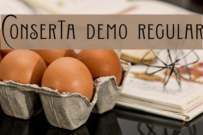 Conserta DEMO Regular Font examples