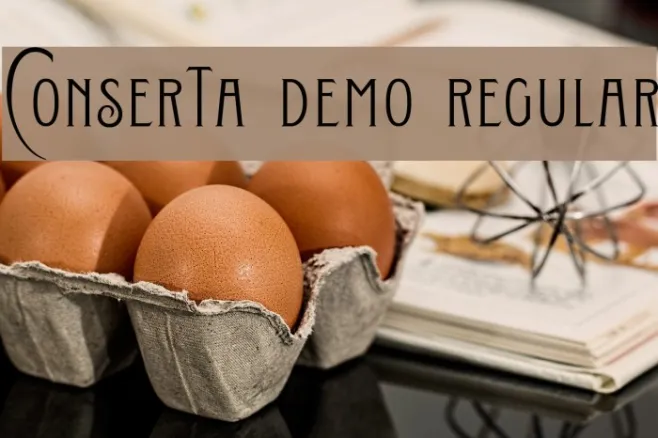Conserta DEMO Regular Example 1