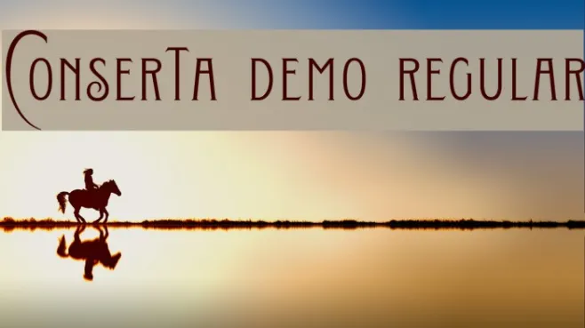 Conserta DEMO Regular Example 2