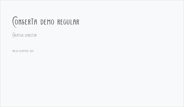 Conserta DEMO Regular Business Card