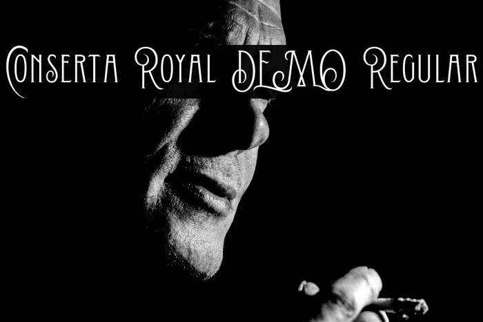 Conserta Royal DEMO Regular Example 2