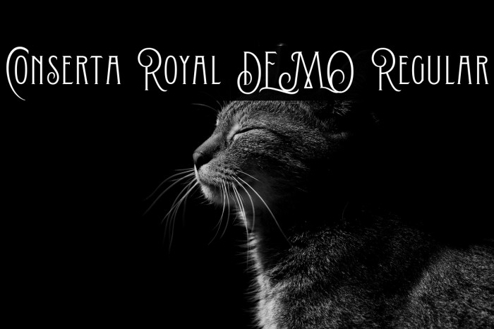 Conserta Royal DEMO Regular Example 3