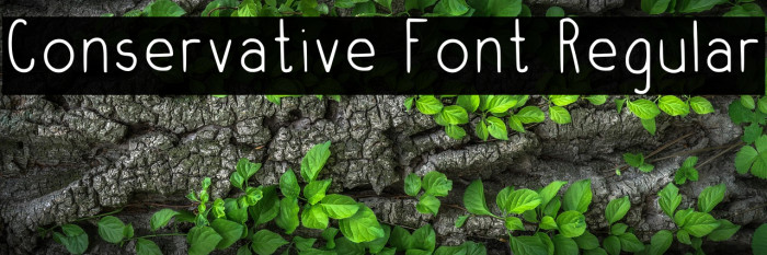 Conservative Font Regular Example 2