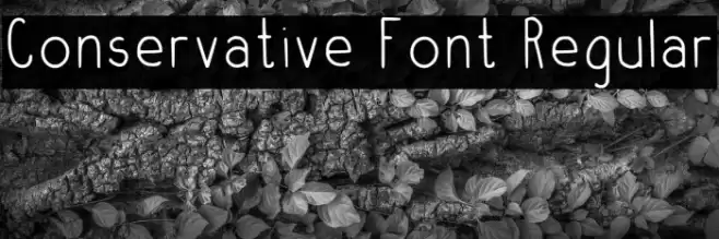 Conservative Font Regular Шрифта examples