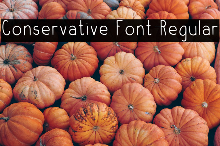 Conservative Font Regular Example 3