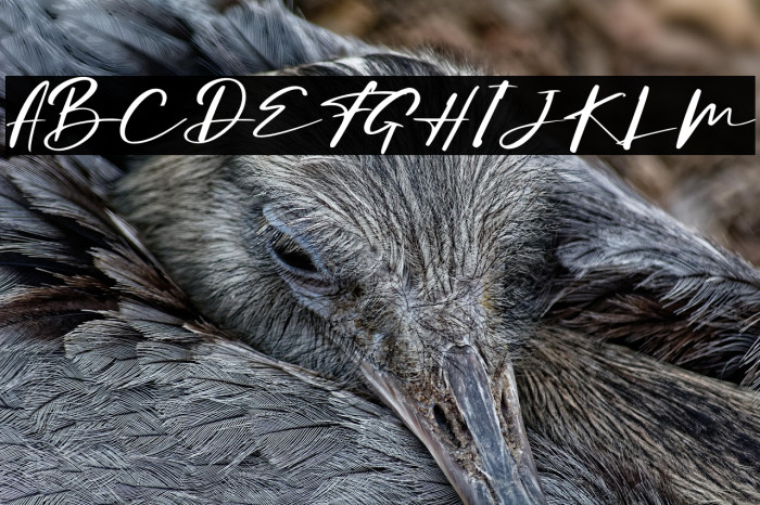 Consistance Example 2