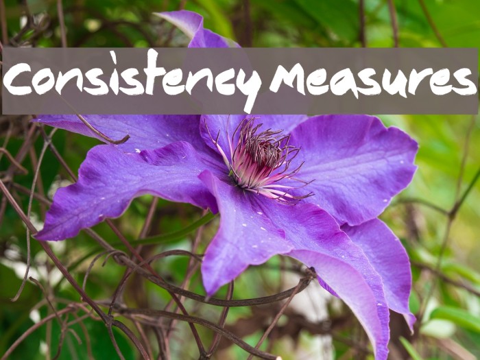 Consistency Measures Font examples