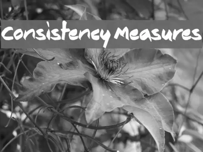 Consistency Measures Schriftart examples
