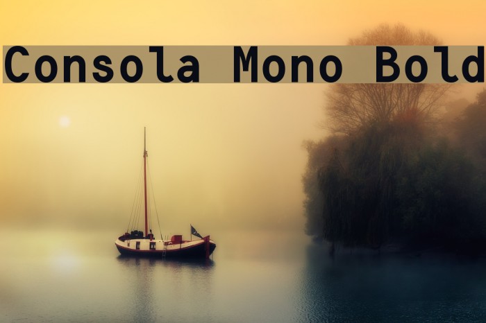 Consola Mono Bold Font examples