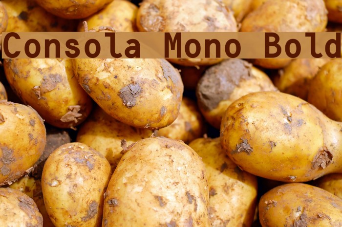 Consola Mono Bold Font examples