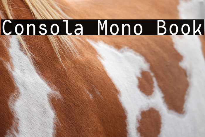 Consola Mono Book Example 1