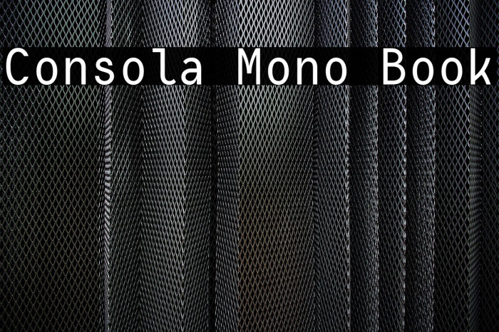 Consola Mono Book Example 2