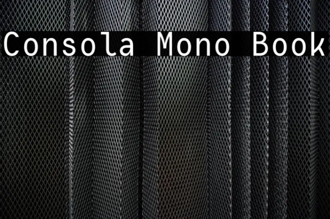Consola Mono Book Example 2