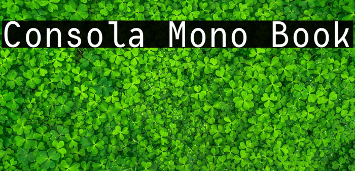 Consola Mono Book Example 3