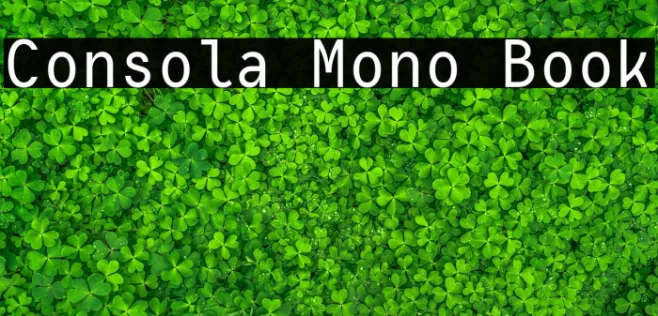 Consola Mono Book Example 3