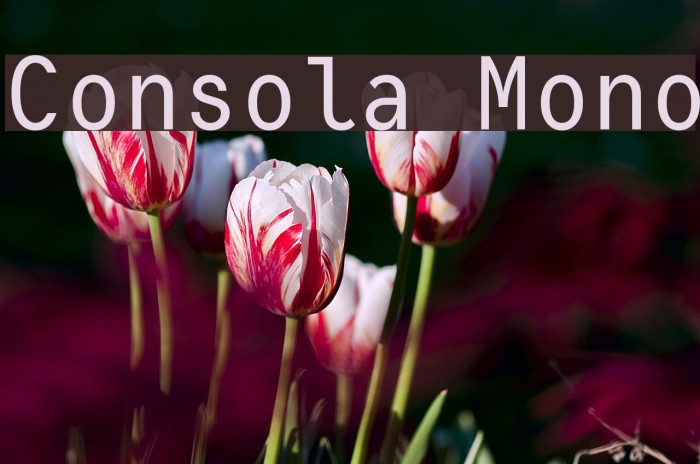 Consola Mono Font examples
