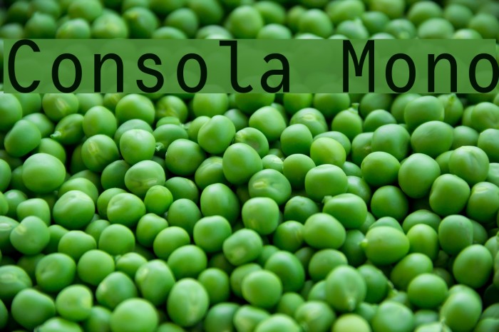 Consola Mono Font examples