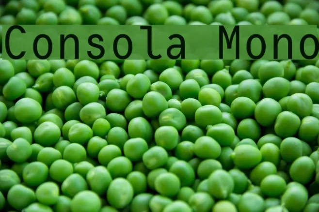 Consola Mono Example 2