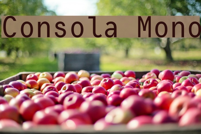 Consola Mono Font examples