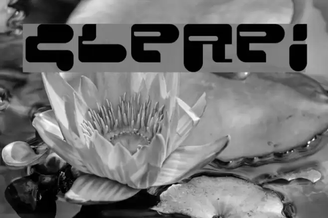 ConsoleRemix خط examples