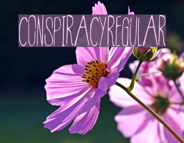 Conspiracy-Regular Font examples