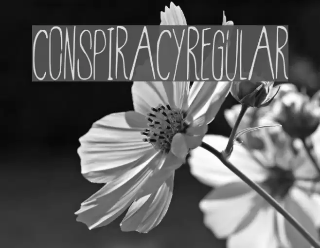 Conspiracy-Regular フォント examples