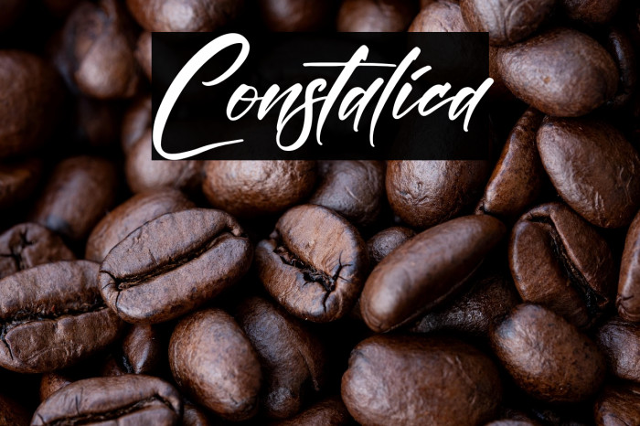 Constalica Example 2