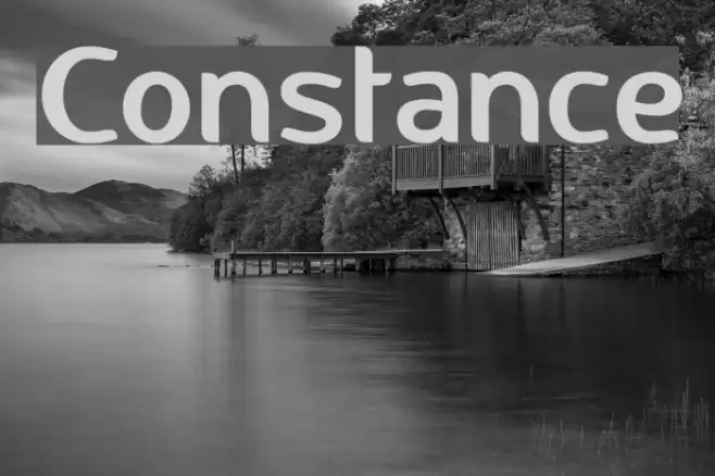 Constance Font examples