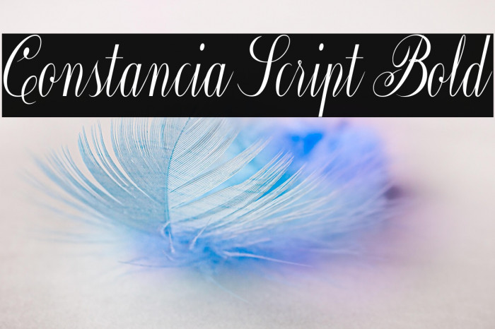 Constancia Script Bold Example 1