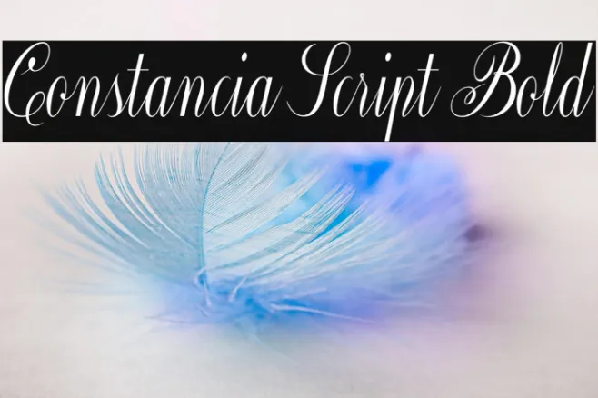 Constancia Script Bold Example 1
