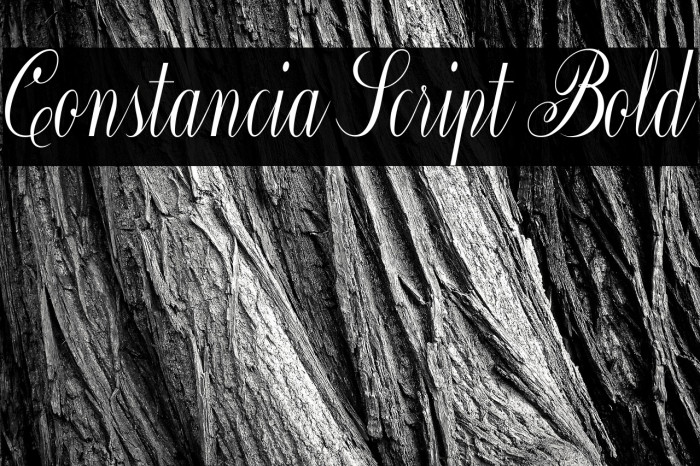 Constancia Script Bold Example 2