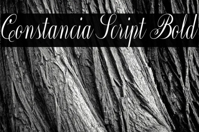 Constancia Script Bold Example 2