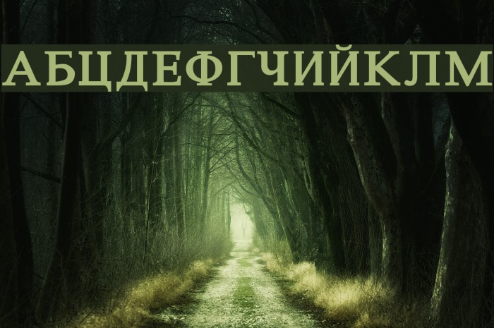 Constantin Bold Font examples