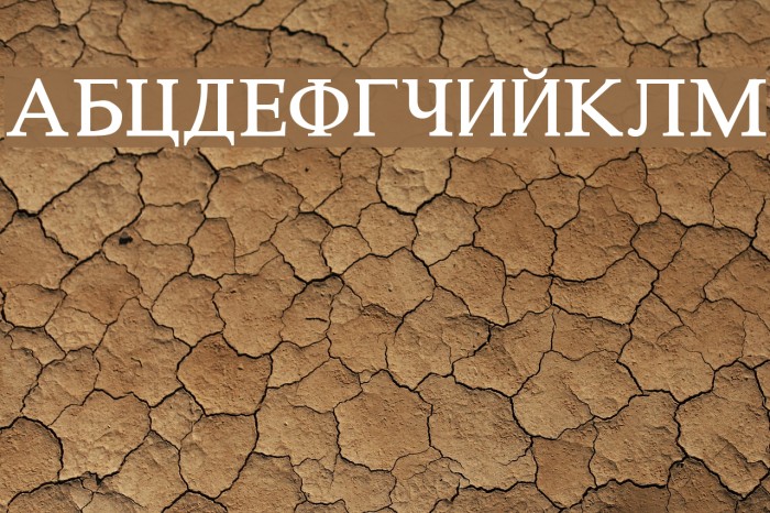 Constantin Font examples