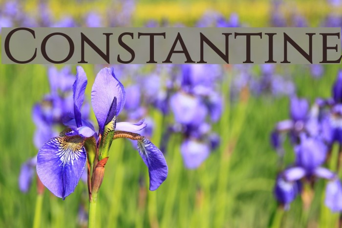 Constantine Font examples